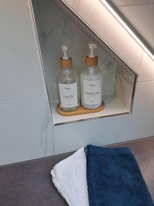 Bel Appartement, Sélestat Eksteriør billede