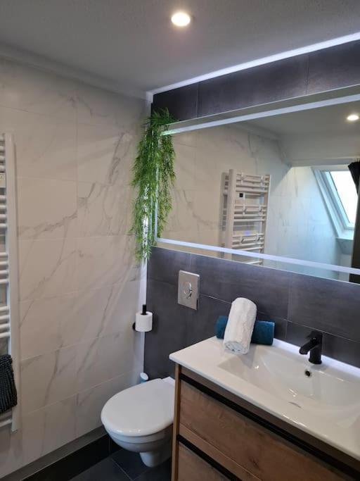 Bel Appartement, Sélestat Eksteriør billede